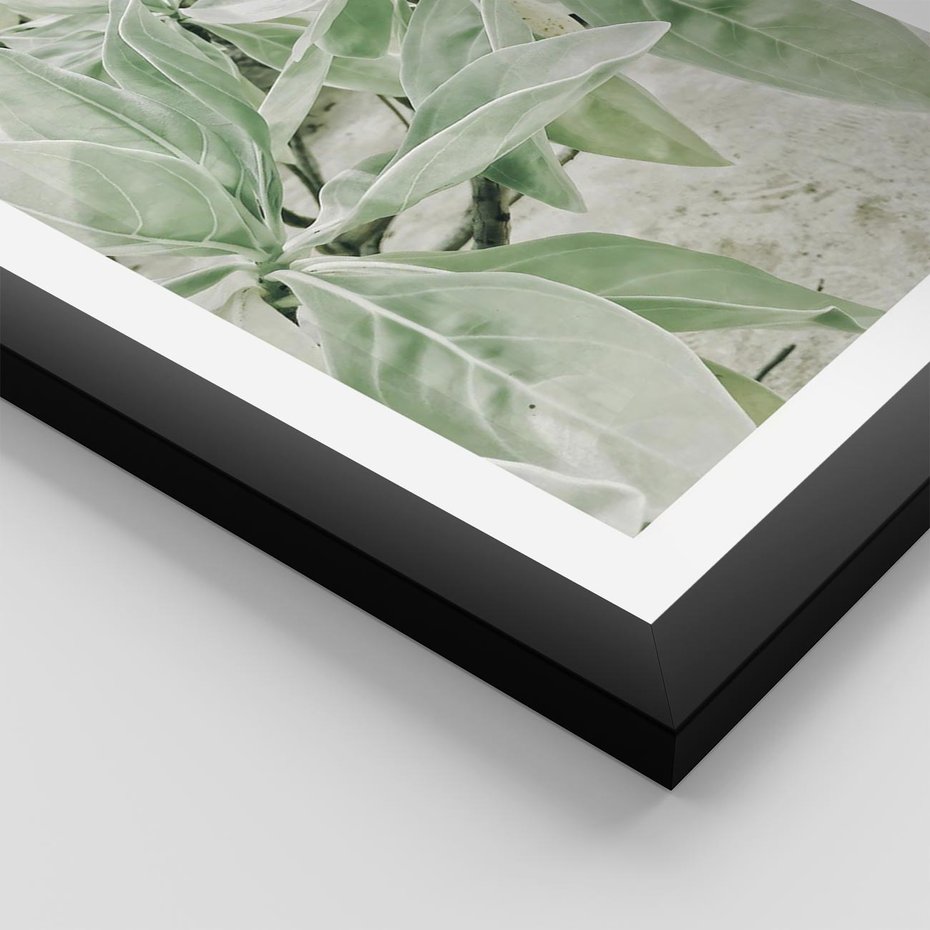 Plakat w ramie 50x70 - Jasnozielone Liście w Kompozycji - liście, jasna zieleń - rama czarna