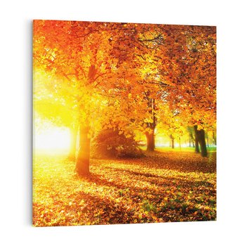 Obraz na płótnie 50x50 - Magia jesiennego lasu - las, drzewa