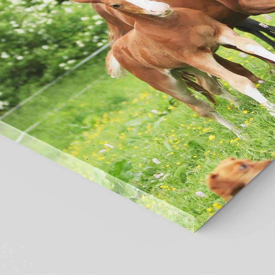 Obraz na płótnie 120x80 - Galopujące konie - konie, galop