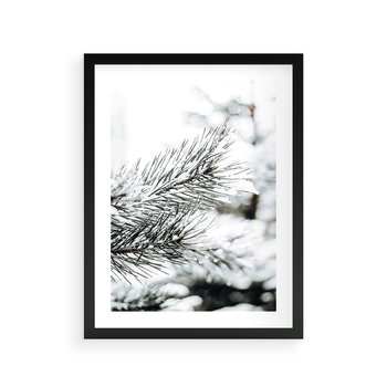 Plakat w ramie 30x40 - Chwila Zimowej Magii - iglasta gałązka, śnieg - rama czarna