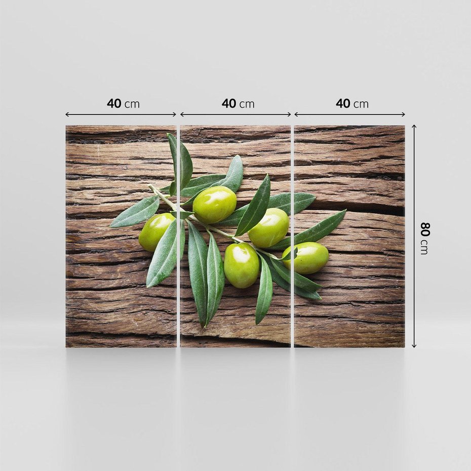 Obraz na płótnie 120x80 - Symbol Żyzności i Urodzaju - oliwki, roślina