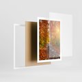 Plakat w ramie 50x70 - Kolorowe drzewa na ścieżce jesieni - las, jesień - rama biała