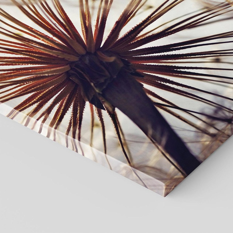 Obraz na płótnie 120x80 - Makro piękno dmuchawca - makro, dmuchawiec