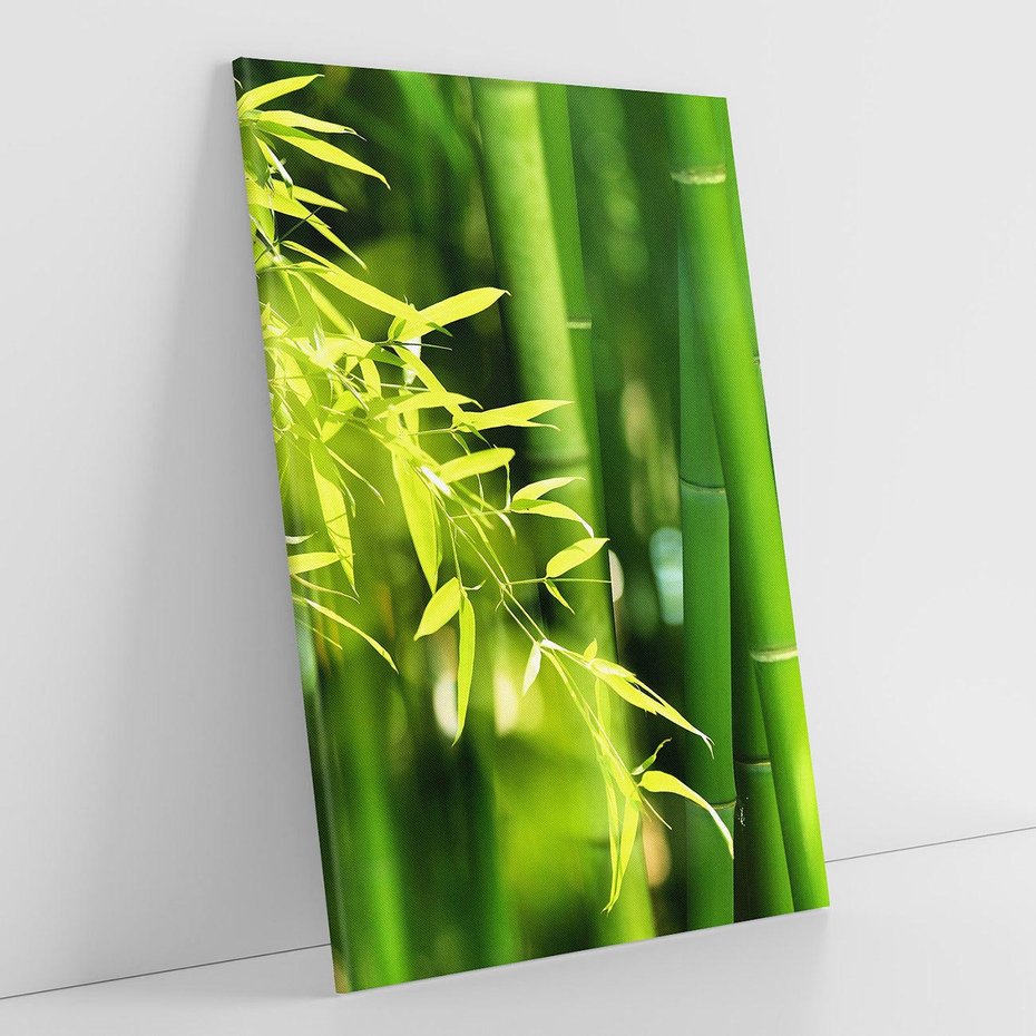 Obraz na płótnie 70x100 - Spokój bambusowego lasu SPA - bambus, drzewa