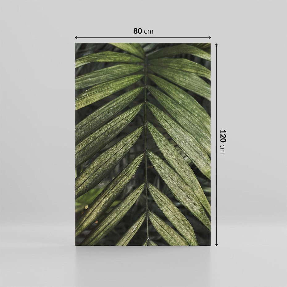 Obraz na płótnie 80x120 - W Liściach Ukryte - zdjęcie, fotografia