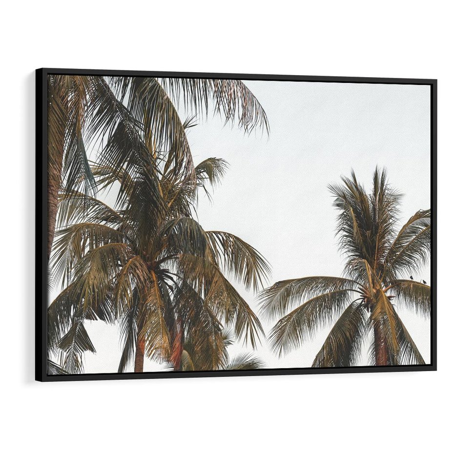 Obraz w ramie 70x50 - Palmy - tęsknota za Hawajami - palmy, Hawaje - rama czarna