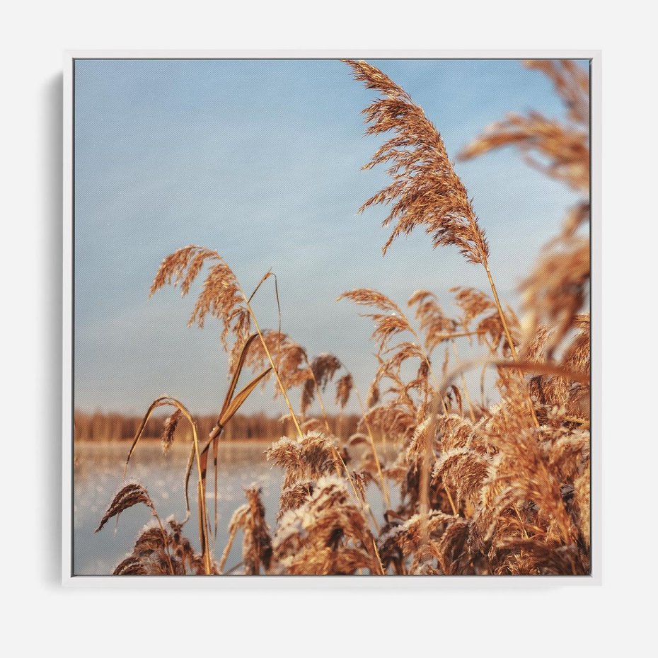 Obraz w ramie 80x80 - Wyraz Stylu - trawy, boho - rama biała