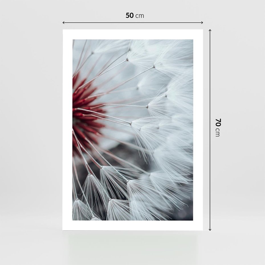 Plakat bez ramy 50x70 - Makro świat dmuchawca - dmuchawiec, makro