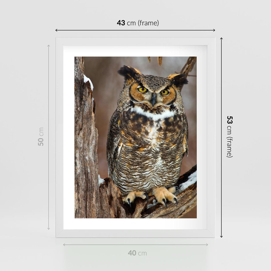 Plakat w ramie 40x50 - Tajemniczy Stróż - sowa, las - rama biała