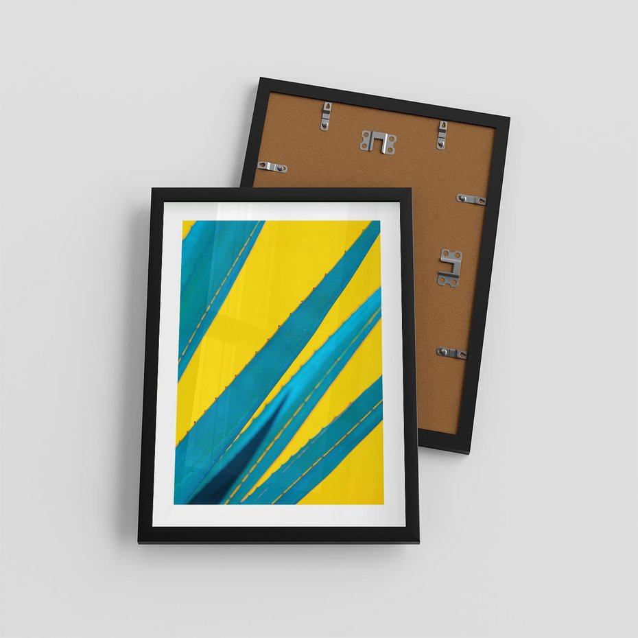 Plakat w ramie 30x40 - Świeżość Natury - aloes, liście - rama czarna