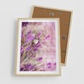 Plakat w ramie 50x70 - Majestat lawendy: fioletowe pola - lawenda, fiolet - rama drewno
