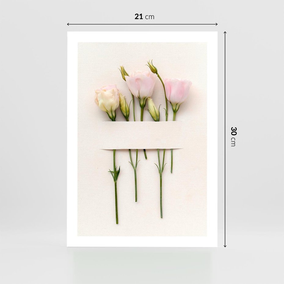 Plakat bez ramy 21x30 - Białe kwiatowe uniesienia - białe, kwiaty