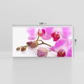Obraz na płótnie 120x60 - Elegancka orchidea w pełnym rozkwicie - orchidea, kwiat