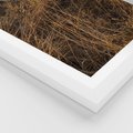 Plakat w ramie 30x40 - Szlachetna Suchość Traw - trawy, suche trawy - rama biała