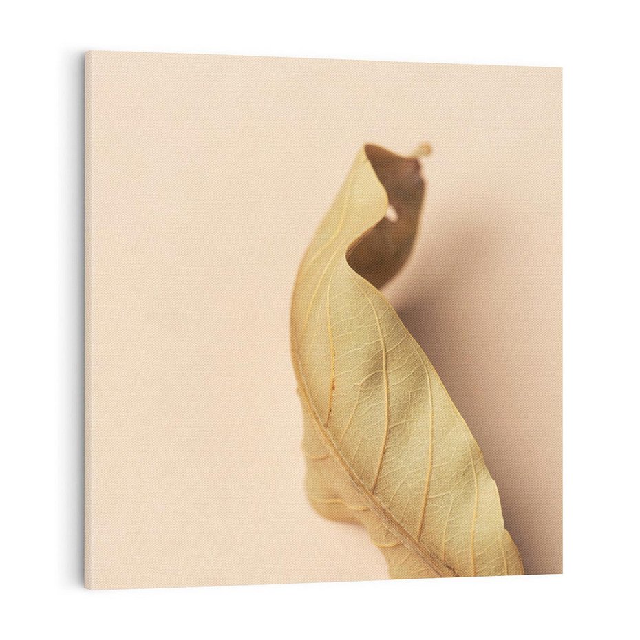 Obraz na płótnie 70x70 - Boho suszone liście - suszony, liść