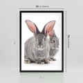 Plakat w ramie 50x70 - Uroczy królik wśród natury - królik, zając - rama czarna