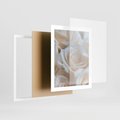 Plakat w ramie 40x50 - Białe róże piękności - białe, róże - rama biała