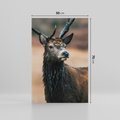 Obraz na płótnie 50x70 - Spokojny jeleń - jeleń, las