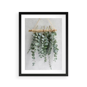 Plakat w ramie 40x50 - Uwodzicielska zieleń eukaliptusa - eukaliptus, zielone - rama czarna