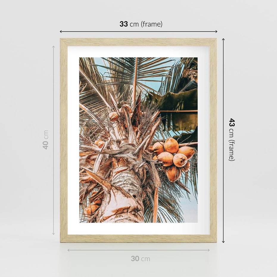 Plakat w ramie 30x40 - Tropikalna Palma: Fotografia z Kokosami - palma kokosowa, kokosy - rama drewno