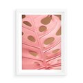 Plakat w ramie 50x70 - Różowa monstera w pełnym rozkwicie - różowa, monstera - rama biała