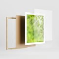 Plakat w ramie 40x50 - Zielone liście natury - liści, zieleń - rama drewno