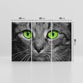 Obraz na płótnie 120x80 - Przestreń nautra doznania - kot, kotek