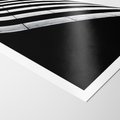 Plakat bez ramy 40x50 - Architektoniczna Fala - architektura, falowany budynek