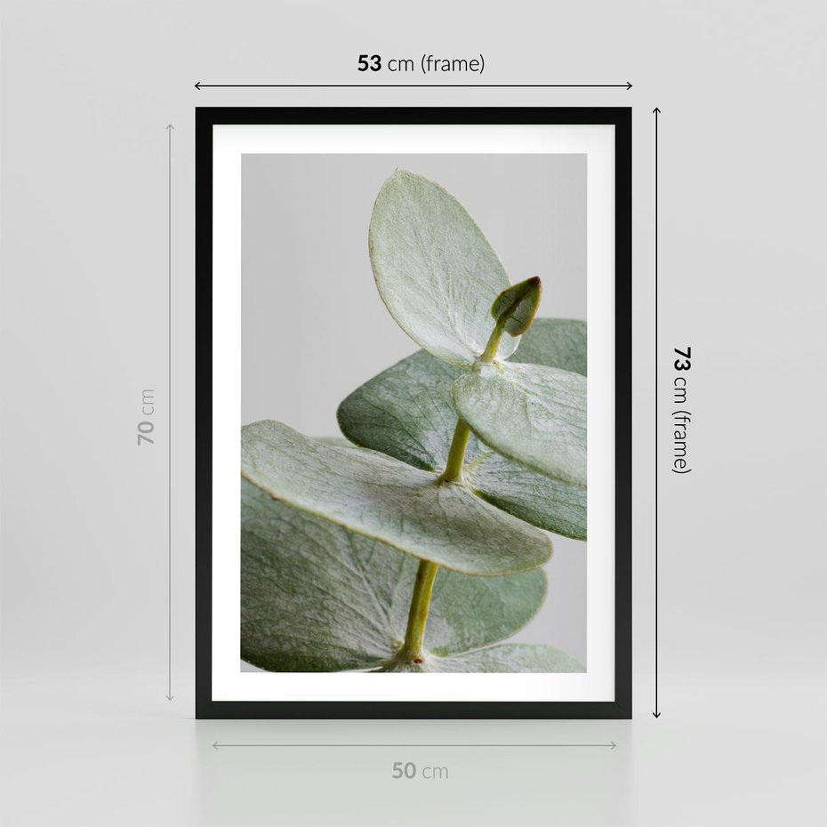 Plakat w ramie 50x70 - Eukaliptusowa zieleń - eukaliptus, zielone - rama czarna