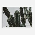 Obraz w ramie 120x80 - Boho oaza wśród kaktusów - kaktusy, pustynia - rama biała