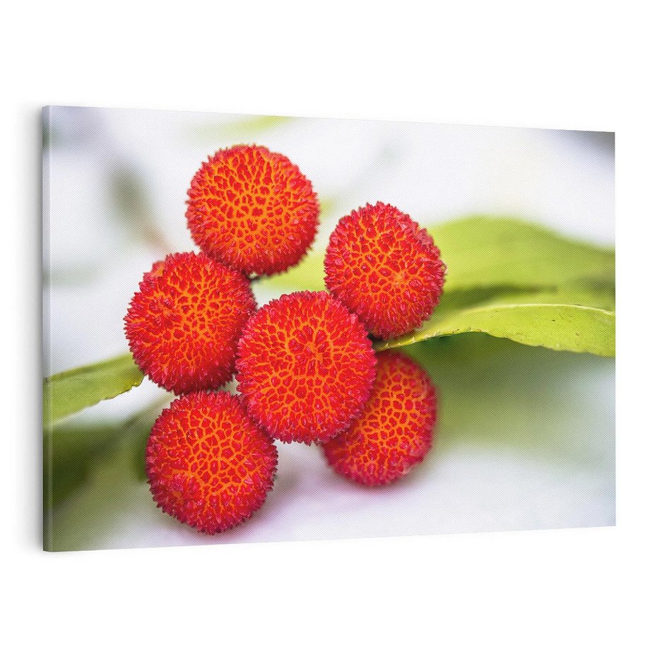 Obraz na płótnie 100x70 - Liczi Owoce - liczi, owoce