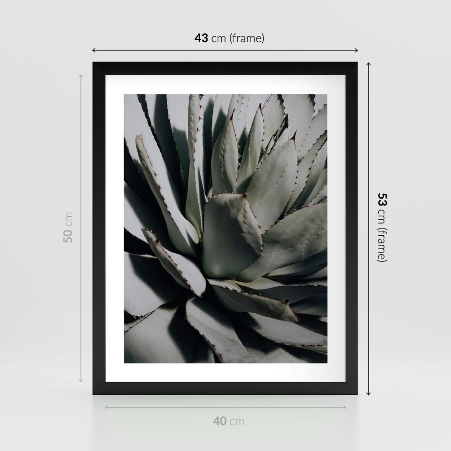 Plakat w ramie 40x50 - Egzotyczny Raj - sukulenty, kaktusy - rama czarna