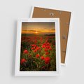 Plakat w ramie 50x70 - Maki przy zachodzie słońca - maki, zachód - rama biała