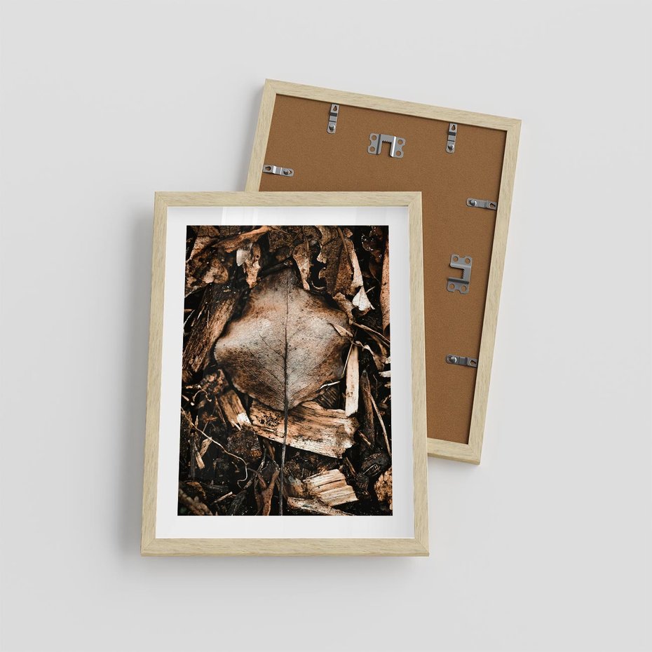 Plakat w ramie 30x40 - Samotny Liść - liść, brąz - rama drewno