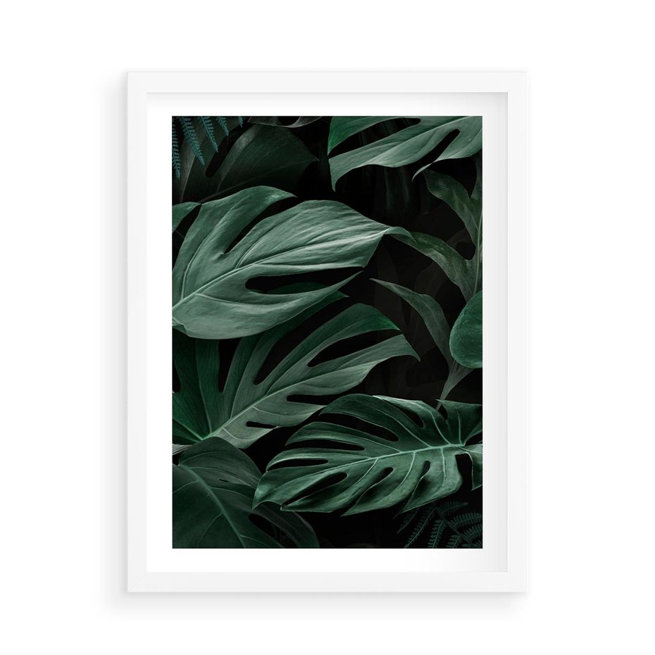 Plakat w ramie 50x70 - Zielone Liście Monstery w Dżungli - zielone liście monstery, dżungla - rama biała
