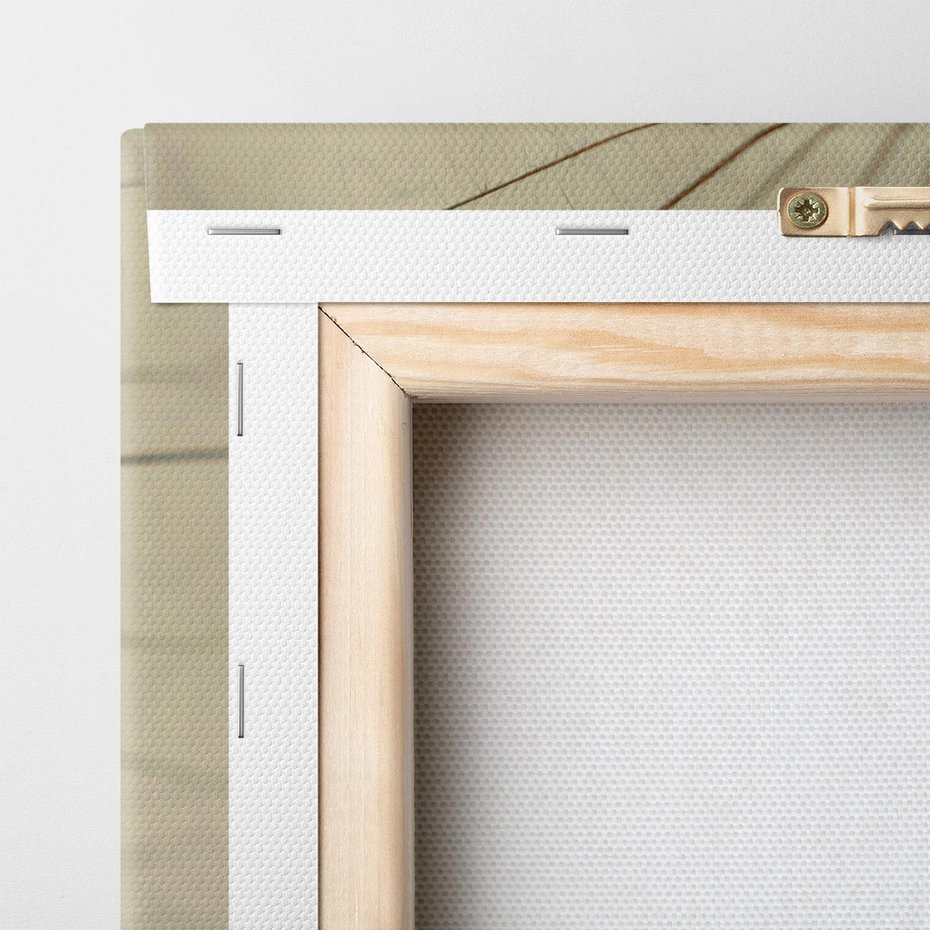 Obraz na płótnie 120x60 - Delikatność dmuchawców - dmuchawce, krople