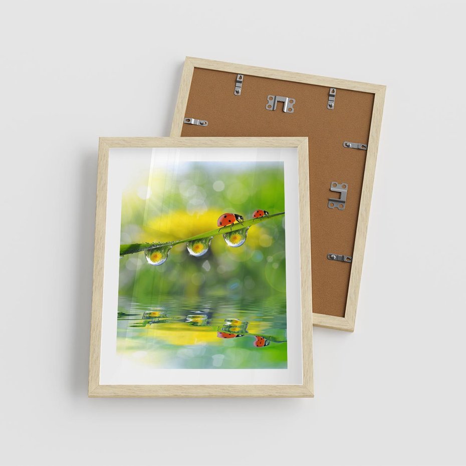 Plakat w ramie 40x50 - Deszczowa Biedronka - biedronka, deszcz - rama drewno