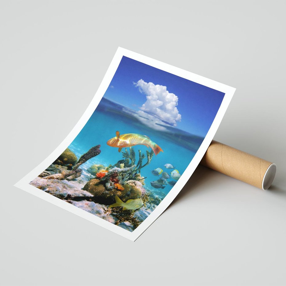 Plakat bez ramy 50x70 - Podwodna rafa koralowa: kolorowy oceanowy świat - rafa, koralowa