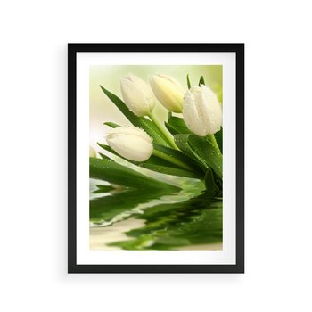 Plakat w ramie 40x50 - Białe Piękno - białe, tulipany - rama czarna