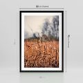 Plakat w ramie 50x70 - Jesienna Melancholia - suche trawy, jesień - rama czarna