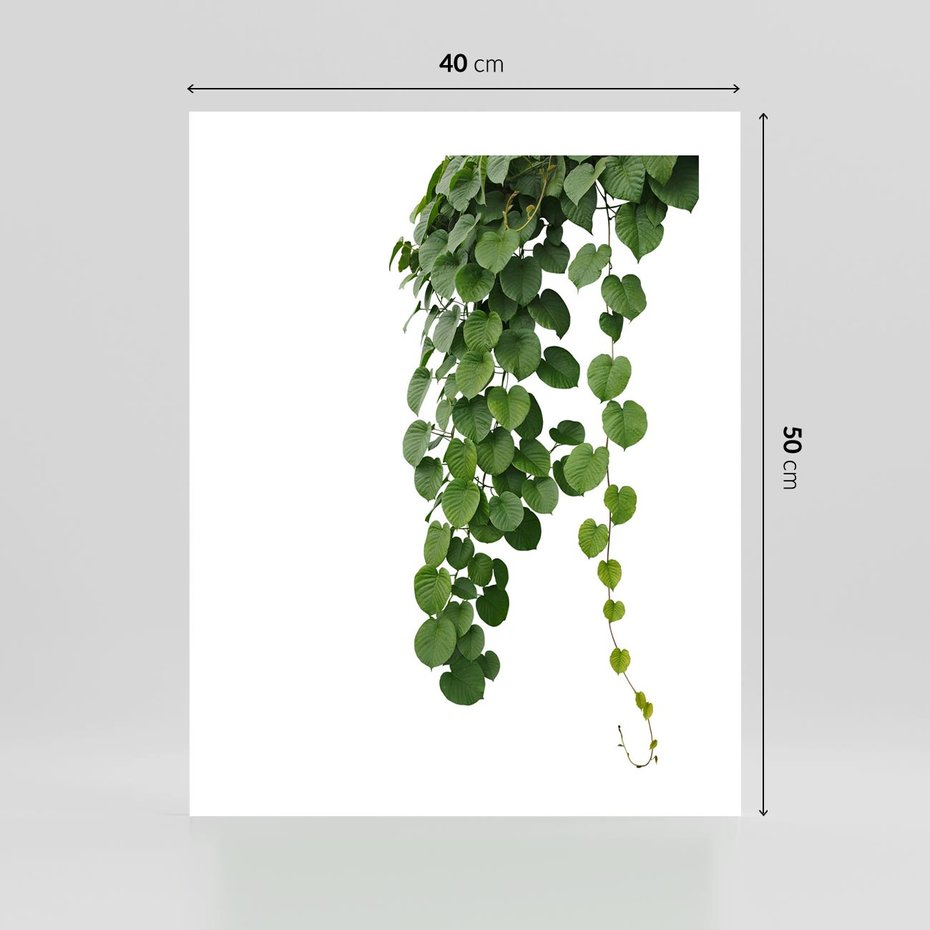 Plakat bez ramy 40x50 - Świeżość Natury - liście, zielone