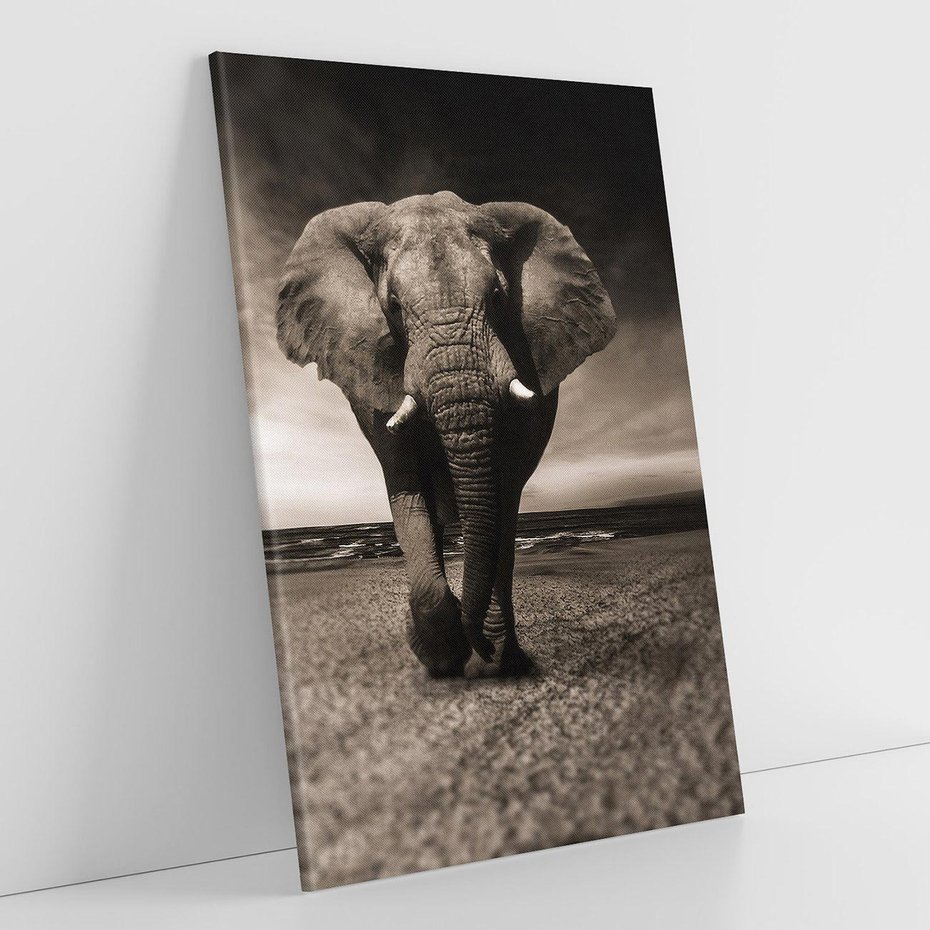 Obraz na płótnie 80x120 - Słoń - Wielki Przyjaciel Morza - słoń, plaża