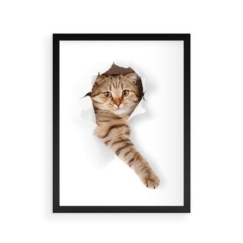 Plakat w ramie 30x40 - Kot w Dziurze - kot, dziura - rama czarna