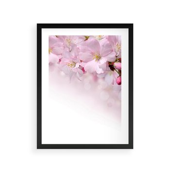 Plakat w ramie 30x40 - Kwitnąca Wiśnia - kwiaty, kwitnącej - rama czarna