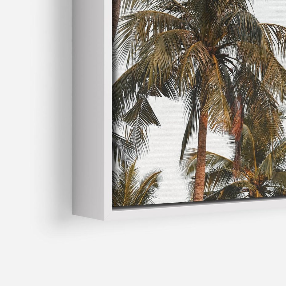 Obraz w ramie 80x80 - Palmy - tęsknota za Hawajami - palmy, Hawaje - rama biała