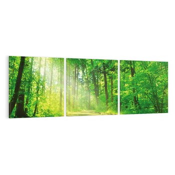 Obraz na płótnie 120x40 - Urok lasu na drodze - las, drzewa