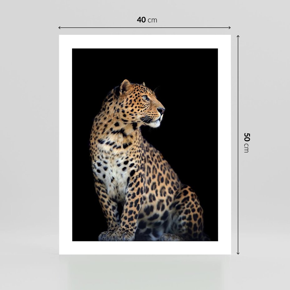 Plakat bez ramy 40x50 - Elegancja Jaguarowej Pantery - jaguar, pantera