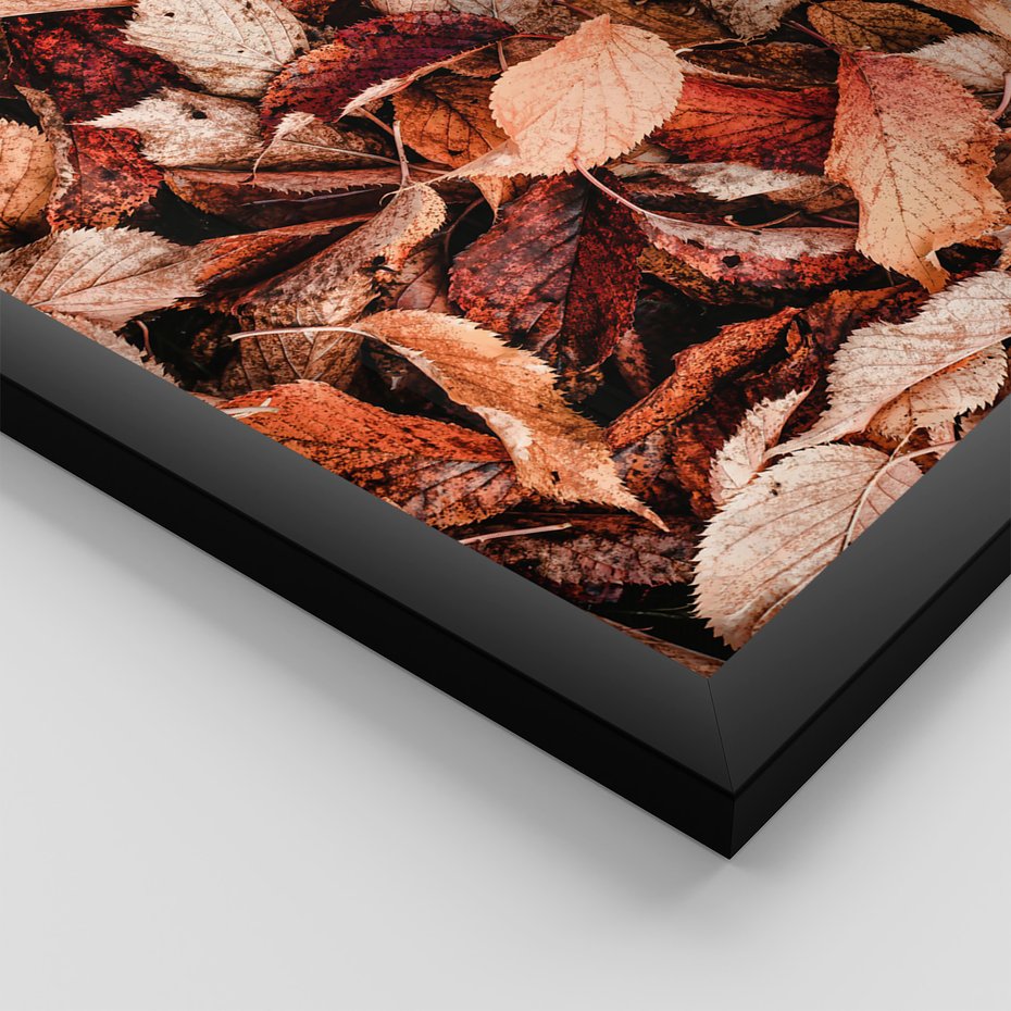 Zestaw obrazy w ramie 50x70 galeria - Jesienny, las, liście - rama czarna