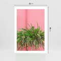 Plakat bez ramy 21x30 - Fotografia Rośliny z Różowym Tłem - fotografia, zielona roślina na tle różwj ściany