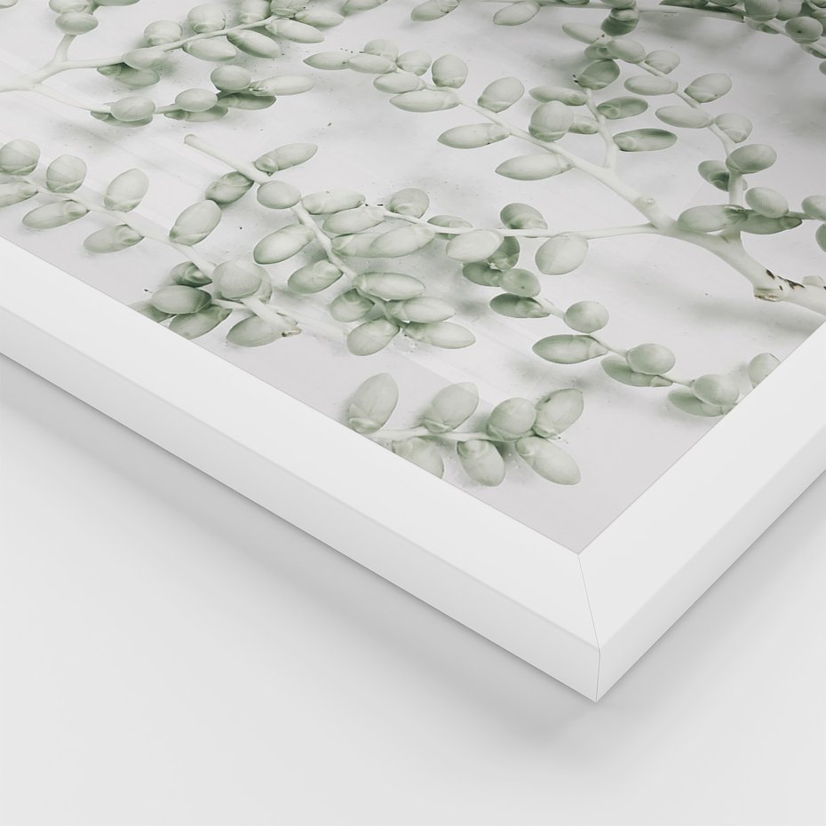 Zestaw obrazy w ramie 50x70 galeria - Liście, zieleń, minimalizm - rama biała